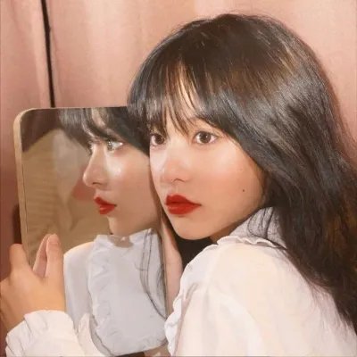 双生赤狐